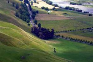 Regional NZ picks up