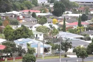 Auckland market crushed but not shut down