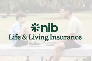 nib launch dates announced
