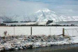 Southland comes up trumps for investors
