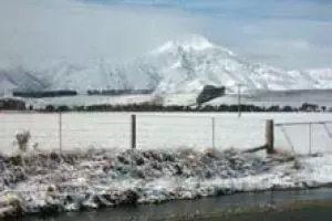 Southland comes up trumps for investors