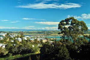 Top of the South: Sunny side up
