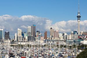 Smaller options drive February rebound