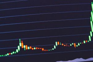 nib back in profit and recovering