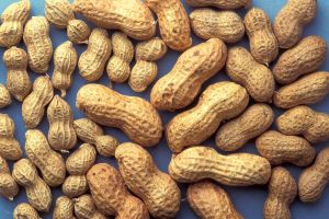 'If you expect advisers to work for peanuts...'