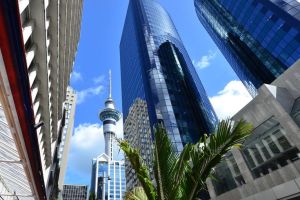 How office space will transform
