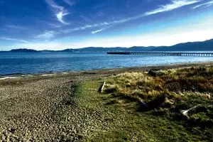 Hot in the Hutt