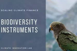 Could biodiversity be used as a financial instrument?