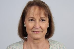 nib: government has no appetite for tax breaks for health ins premiums