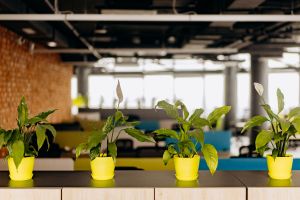 Office expectations higher for hybrid workers