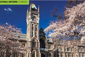 Dunedin experiencing growth