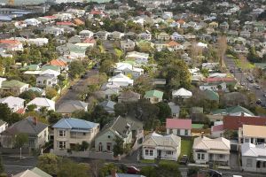 Auckland rents up 