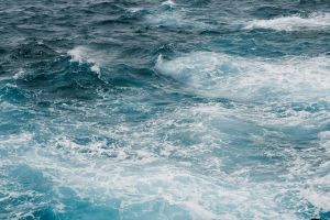 Mindful Money sends SOS to fund managers to save the oceans