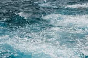 Mindful Money sends SOS to fund managers to save the oceans