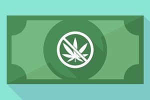 NZ Super Fund excludes marijuana