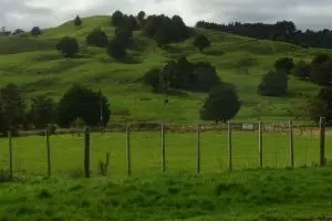 More land not the whole answer: NZPI