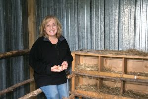 Regional rentals yield lifestyle dream