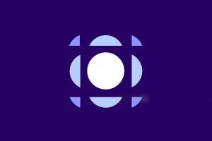 Snowball turns focus to investor behaviour 