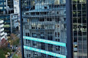 NZX 50 gains this week as F&P Healthcare tests new territory