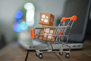 US firm buys established Kiwi advice firm