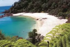 Regions fire up as Auckland cools