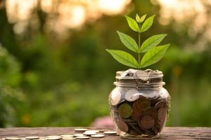 Knowledge gap a challenge for advice sector