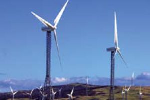 NZ’s two speed market