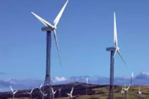 NZ’s two speed market