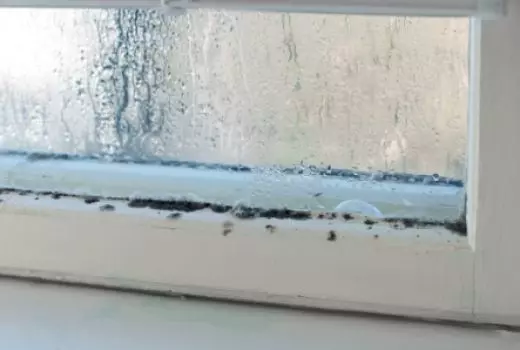 Tribunal: Black mould leads to substantial compensation order