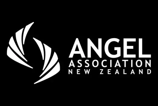 Angels fear consequences of FMA wholesale investor test case 