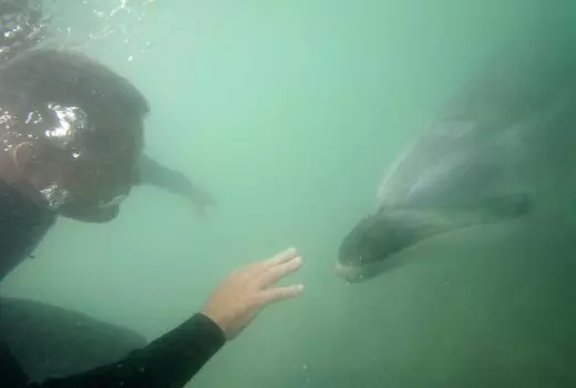 Getting to Know...Brent Sheather