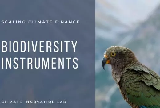 Could biodiversity be used as a financial instrument?