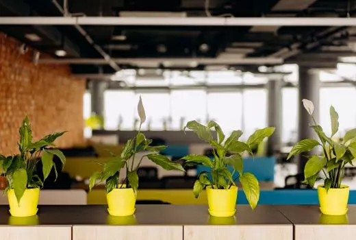 Office expectations higher for hybrid workers