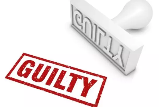 Adviser pleads guilty
