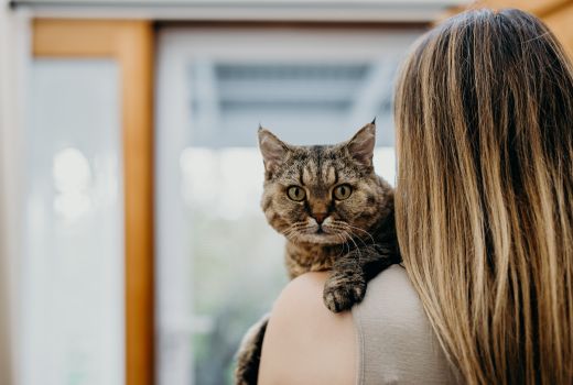 Southern Cross supports new safe haven for at-risk pets