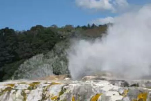 Rotorua values slowly rising 