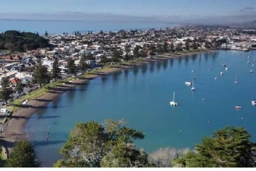 Bay of Plenty new growth star